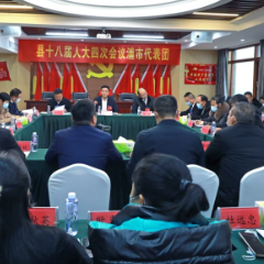 聚焦两会丨彭武学参加浦市镇、兴隆场镇、解放岩乡代表团讨论