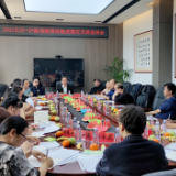 泸溪县举办2023长沙 泸溪湖湘剪纸踏虎凿花发展座谈会