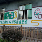 石榴坪乡：把人居环境整治作为实现乡村振兴的有力抓手