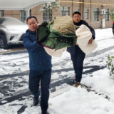 迎战寒潮丨武溪镇：初雪映初心，全力做好强降雪天气群众安全服务保障工作