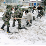 雪后护民生丨达岚镇党员干部铲雪除冰保畅通