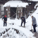 雪后护民生丨白羊溪乡：最美不过下雪天，最暖还是清雪人！