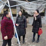 县农经站开展家庭农场调研活动