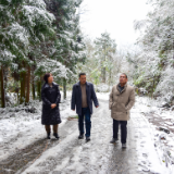 县林业局开展国有林场防御低温冰雪灾害指导检查