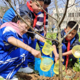 泸溪县中小学校广大学生积极开展义务植树志愿活动