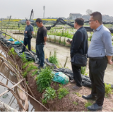 省派科技专家到泸溪县开展水产养殖技术服务