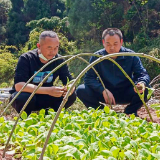 达岚镇：春风送暖干劲足 烟业生产强劲头