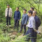 泸溪县2022年度高标准农田建设项目通过初步设计评审