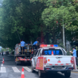 文明创建在行动丨泸溪交警修剪主干道遮挡标志树枝