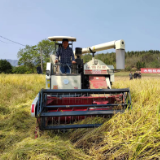 泸溪县农机中心成功举办水稻机收减损、测产现场会