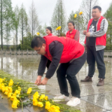 网络中国节·清明丨泸溪县检察院开“缅怀革命英烈 祭扫烈士陵园”活动