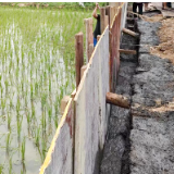 泸溪县小章乡：加快“小农水”建设 护航粮食安全