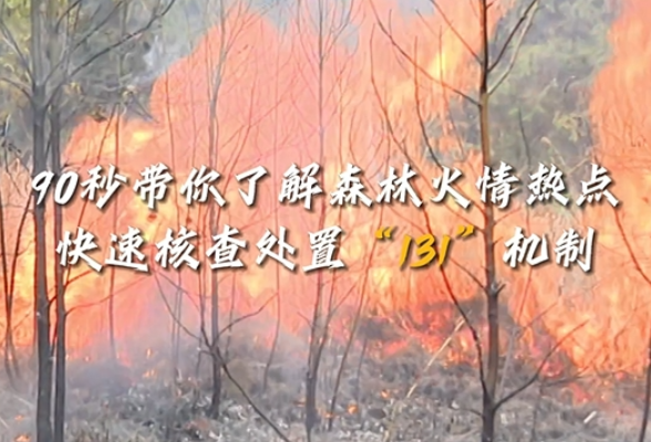 视频丨90秒带你了解森林火情热点快速核查处置“131”机制