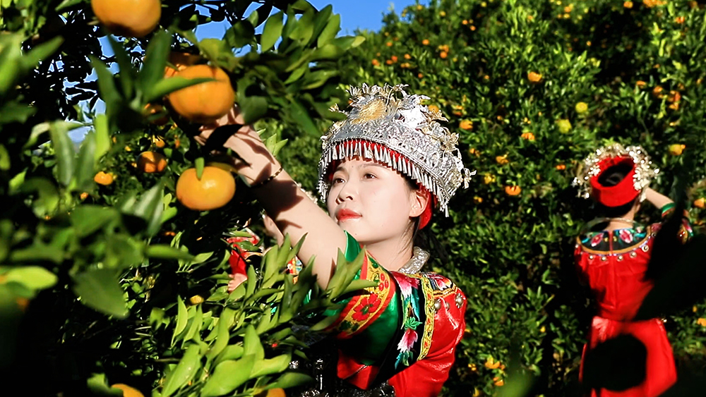 微信截图_20240722172854.jpg 微信截图_20240722172854.jpg