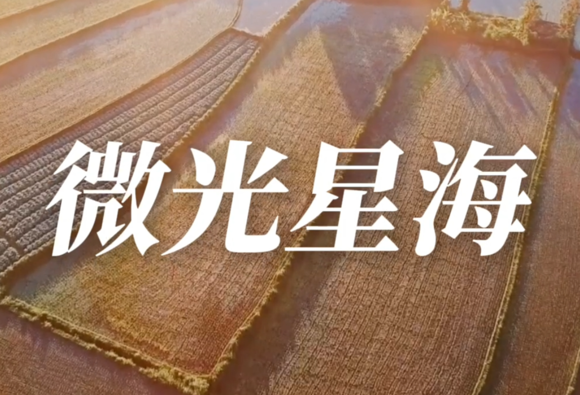 视频丨“五·一”“五·四”双节特辑——《微光星海》