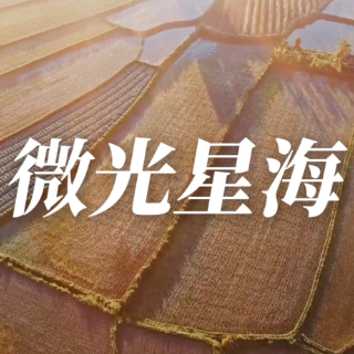 视频丨“五·一”“五·四”双节特辑——《微光星海》