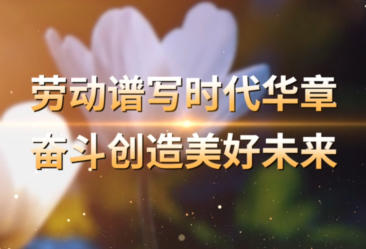 视频丨“五·一”“五·四”双节特辑——《劳动者的双手》