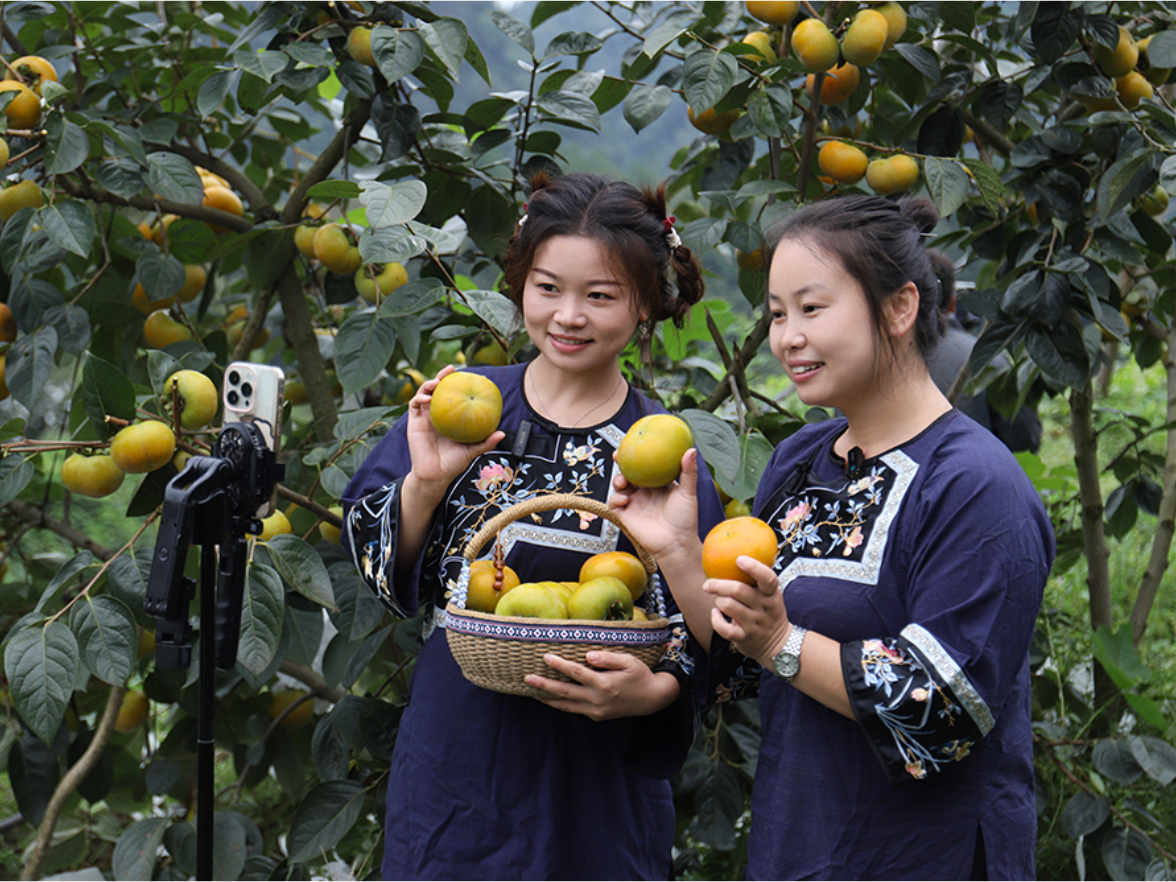 泸溪：电商直播小分队 青春助农柿柿红