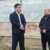 彭武学到浦市镇调研返乡创业、开展联校联园和结对走访