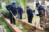 泸溪县城市管理和综合执法局恢复被占绿地 整治乱堆乱放