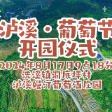 2024泸溪·葡萄节即将盛大启幕，甜蜜盛宴邀您共赏