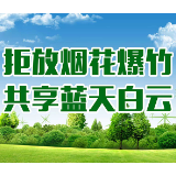 多图丨禁燃禁放宣传海报