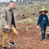 春启新程筑新篇丨农技专家“把脉问诊” 全力备战春耕春种
