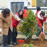 植树节丨兴隆场镇：植绿护绿正当时 共绘兴隆生态图