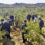 达岚镇：培训服务到山头 致富硕果稳增收
