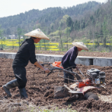 解放岩乡：奋进在春天里  烟叶种植忙出“新热度”