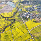 党建引领绘振兴 “湘西粮仓”焕新颜 ——泸溪县青草村乡村振兴发展侧记