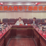 泸溪县委办公室召开青年干部座谈会