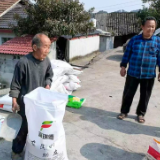 洗溪镇免费发放粮食种子 助力春耕生产