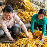 陈永平：独臂托起金色希望 用生命丈量土地的尊严