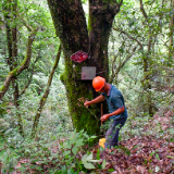 潭溪新寨坪古树名木保护迈入新赛道