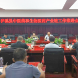 符鸿雁主持召开中医药和生物医药产业链工作推进会