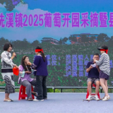 洗溪镇2025葡萄开园采摘暨县科技专家服务团集中服务活动启动 