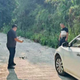 泸溪县启动松林钻蛀类害虫全域普查 科技赋能守护绿水青山