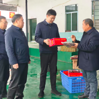 贺立调研乡村振兴、项目建设及特色农业产业工作