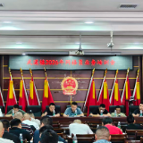 武溪镇：筑牢基层微网格 拧紧安全责任链