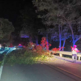 泸溪:树枝低垂易挂顶阻车 警路联动连夜清理隐患