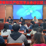 省知识产权保护中心到泸溪开展专利预审专题培训 精准帮扶企业纾难解困