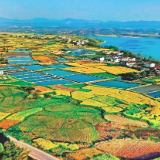 沅水河畔的“文明密码”  ——湖南泸溪五果溜村何以获评“全国文明村”