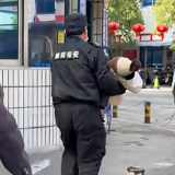 生命接力暖全城 泸溪上演极速救援