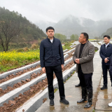 贺立调研乡村振兴及产业发展情况