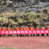 以练为战 防火护绿 —— 武溪镇开展森林防火暨 “131” 机制实战演练