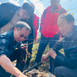 省特色水果专家团、省葡萄协会来泸溪开展葡萄产业技术培训 助力乡村产业提质增效