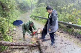 冒雨清障保畅通 一线守护暖民心—小章乡闻“汛”而动 全力保障农村道路通行安全