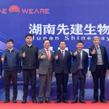 泸溪:湖南先建年产2万吨智能化迷迭香提取物生产线正式投产