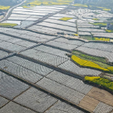 泸溪县浦市镇：烟粮融合发展  蹚出富民强镇好路子